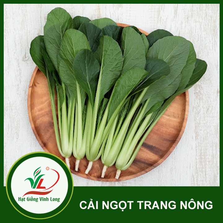 Hạt giống rau Cải ngọt Trang Nông - 100g