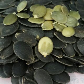 Bí mèo đen hàng Việt Nam