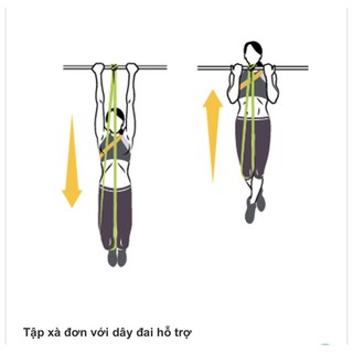 Dây kháng lực hỗ trợ đu xà đơn, dây kéo tập gym