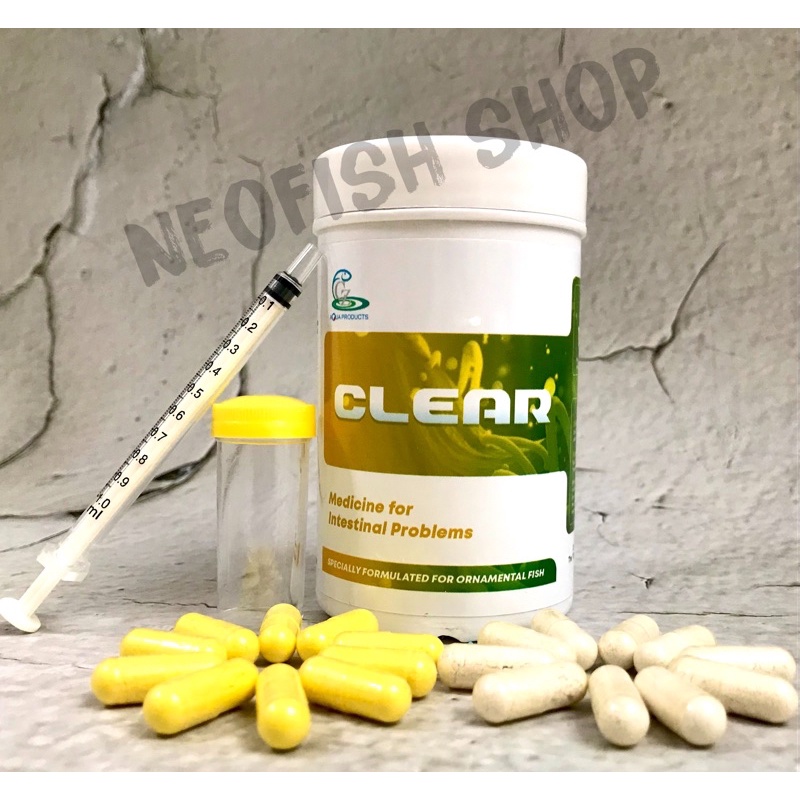 Xử lý sình bụng phân trắng cho cá la hán CZ9 - Clear