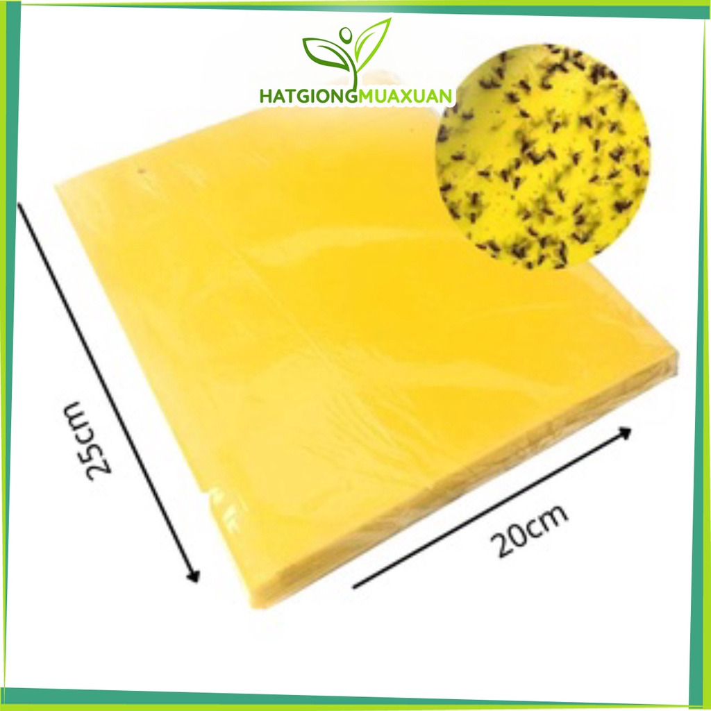 1 Miếng nhựa bẫy dính ruồi vàng và côn trùng hại hoa lan cây trồng bằng màu sắc không có hóa chất