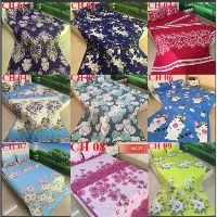 Chăn Hè COTTON POLY Trần Bông 3 lớp