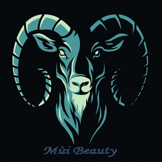 MÙI BEAUTY-sỉ lẻ giá tốt