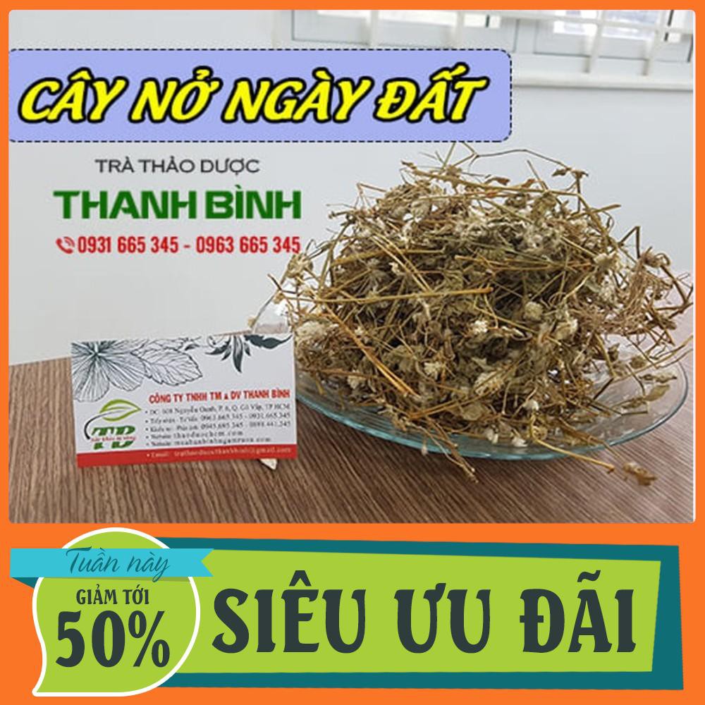 Cây Nở Ngày Đất Khô 500g - Hàng Công Ty Loại 1