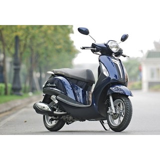 Đĩa thắng Nozza Grande Yamaha ( hình chụp trực tiếp )
