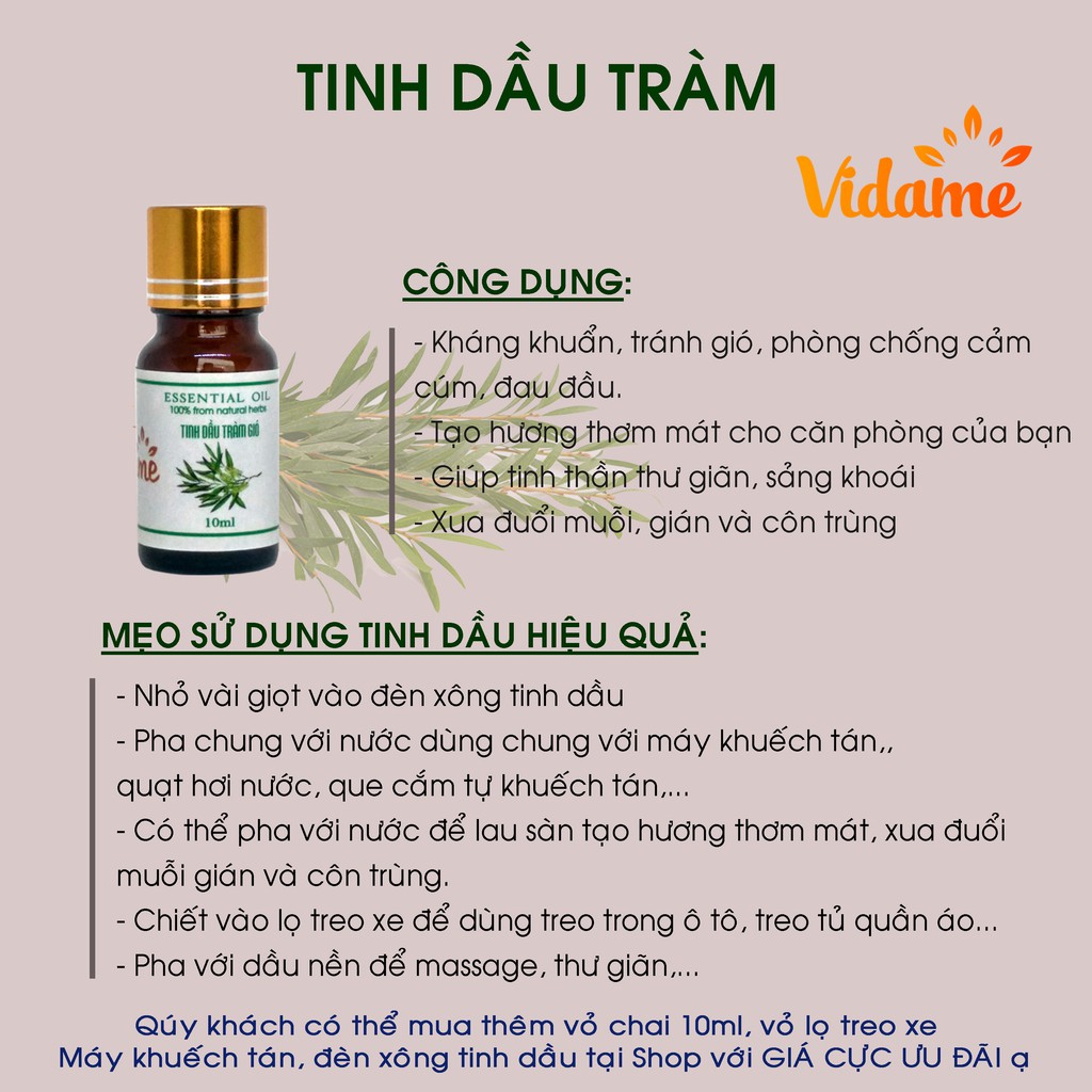 [ COMBO 2 LỌ 10ML ] Tinh Dầu Tràm Gió VIDAME nguyên chất - Hàng Chính Hãng Có Kiểm Định Chất Lượng