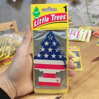 Combo 5 Cây thông thơm Little Trees – Cây thông thơm Mỹ
