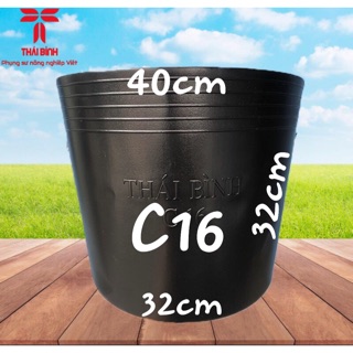 ChậuNhựa_TháiBình