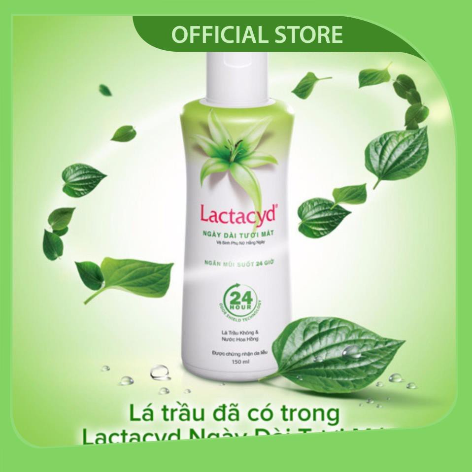 Lactacyd Ngày dài tươi mát - Dung dịch vệ sinh phụ nữ từ lá trầu không và nước hoa hồng