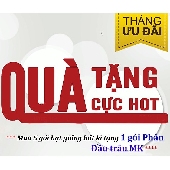 HẠT GIỐNG ĂN QUẢ -Bầu Sao Trái Ngắn RADO 79- GÓI 2 GRAM.