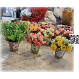 Chậu hoa nhỏ nhiều mẫu xinh - 472