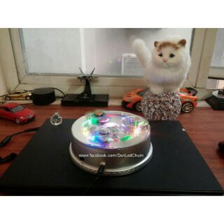 Mèo Bông Mini