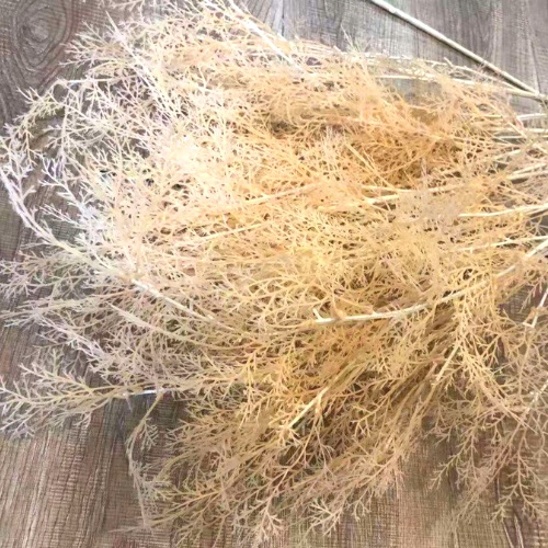 Hoa tuyết nhiều màu trang trí nội thất, cành thông lá nhỏ chup ảnh, decor.
