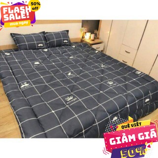 [GIẢM MẠNH] COMBO SÉT ĐỦ 5 MÓN CHĂN PHAO SIÊU NHẸ POLY NHIỀU MẪU KẺ RÂU/KẺ VƯƠNG MIỆN