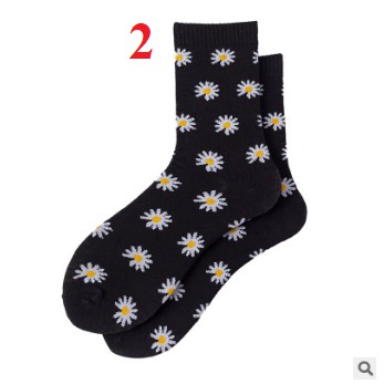 Tất cúc hoạ mi GD peaceminusone VIP GDragon