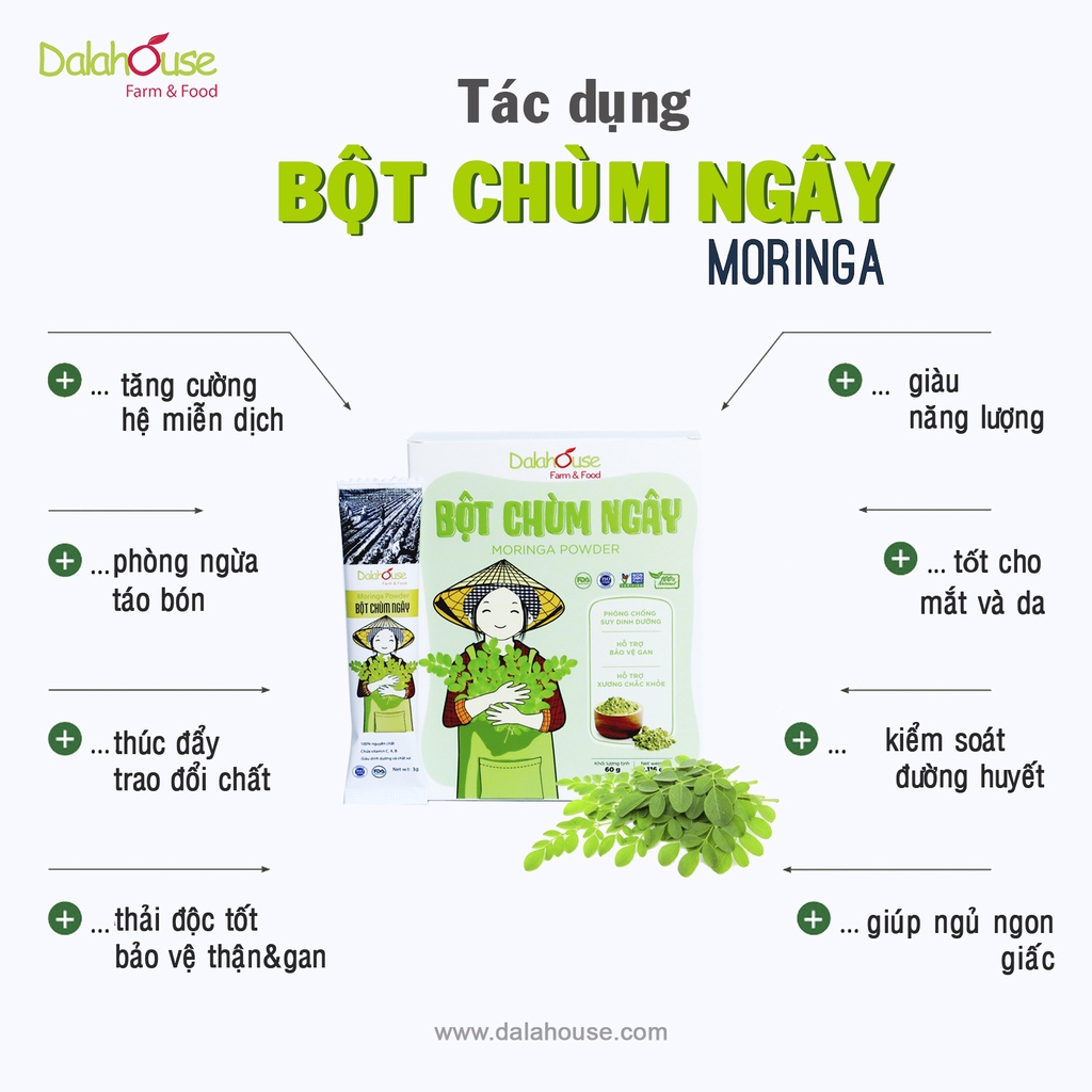 Bột chùm ngây nguyên chất Dalahouse công nghệ sấy lạnh tiêu chuẩn Châu Âu hộp 60 gr