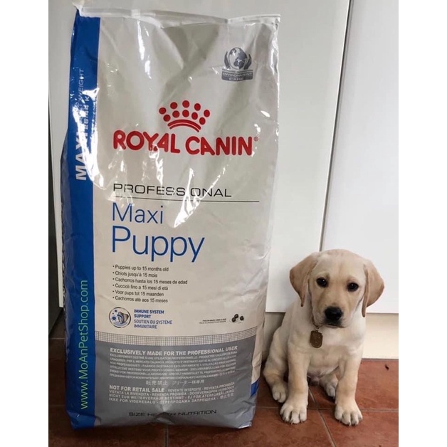 Royal canin chính hãng dòng cún to Maxi 4kg