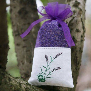 Nụ hoa lavender khô