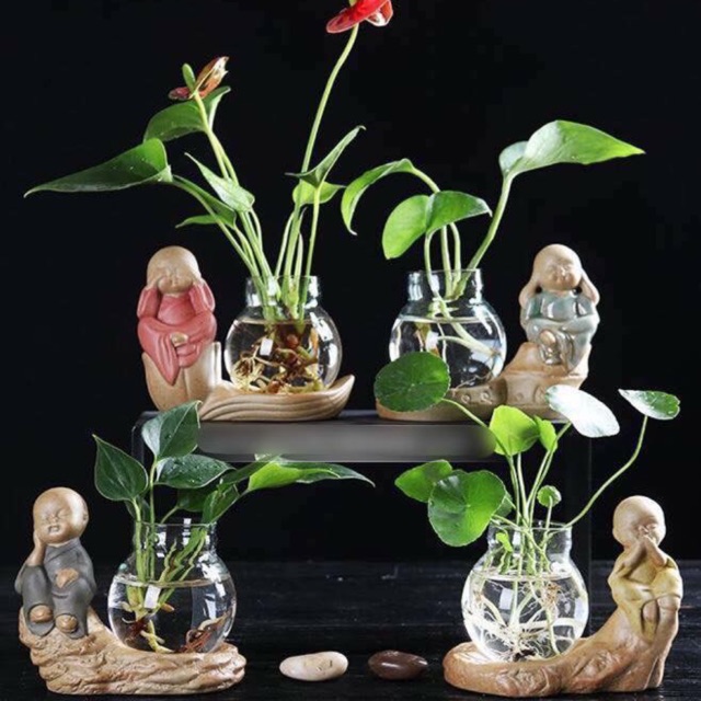 Set tượng trồng cây thuỷ sinh