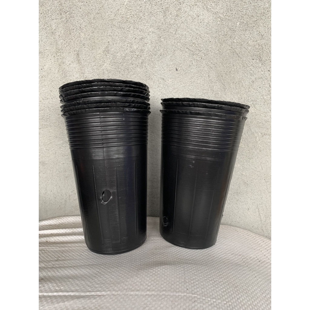 BẦU ƯƠM CÂY GIỐNG MÃ C15 (VIÊN NÉN XƠ DỪA, BẠT PHỦ ĐẤT CHỐNG CỎ, KEO LIỀN SẸO CÂY...)