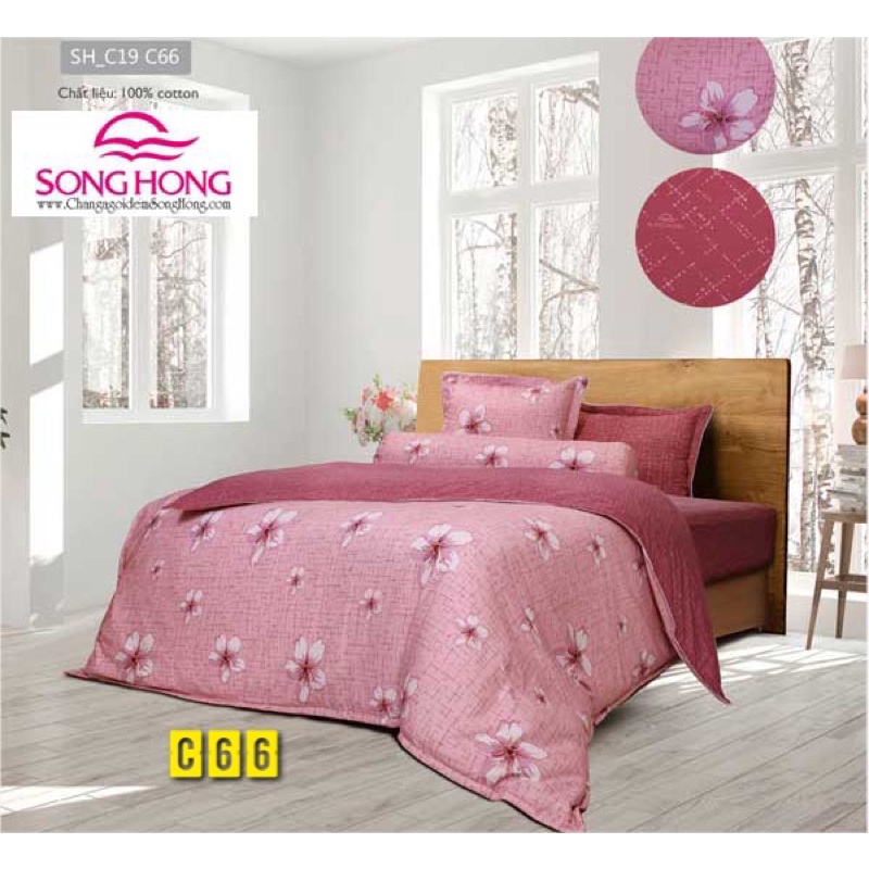 Bộ ga chun Sông Hồng chính hãng 100% cotton m6 x 2m