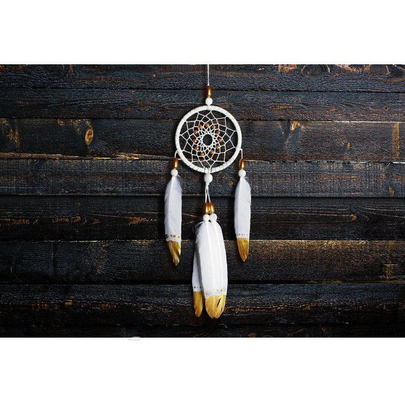 Dream Catcher Vẽ Tay Treo Tường Trang Trí Xinh Xắn