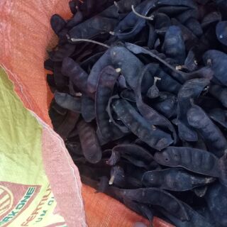 Bồ kết khô 500gr