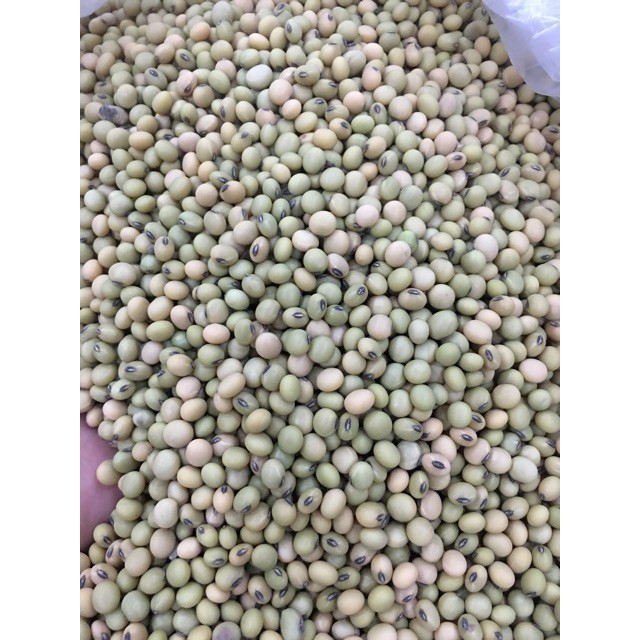 Đỗ tương xanh quê ngon sạch (gói 500g-1kg) Hút chân không