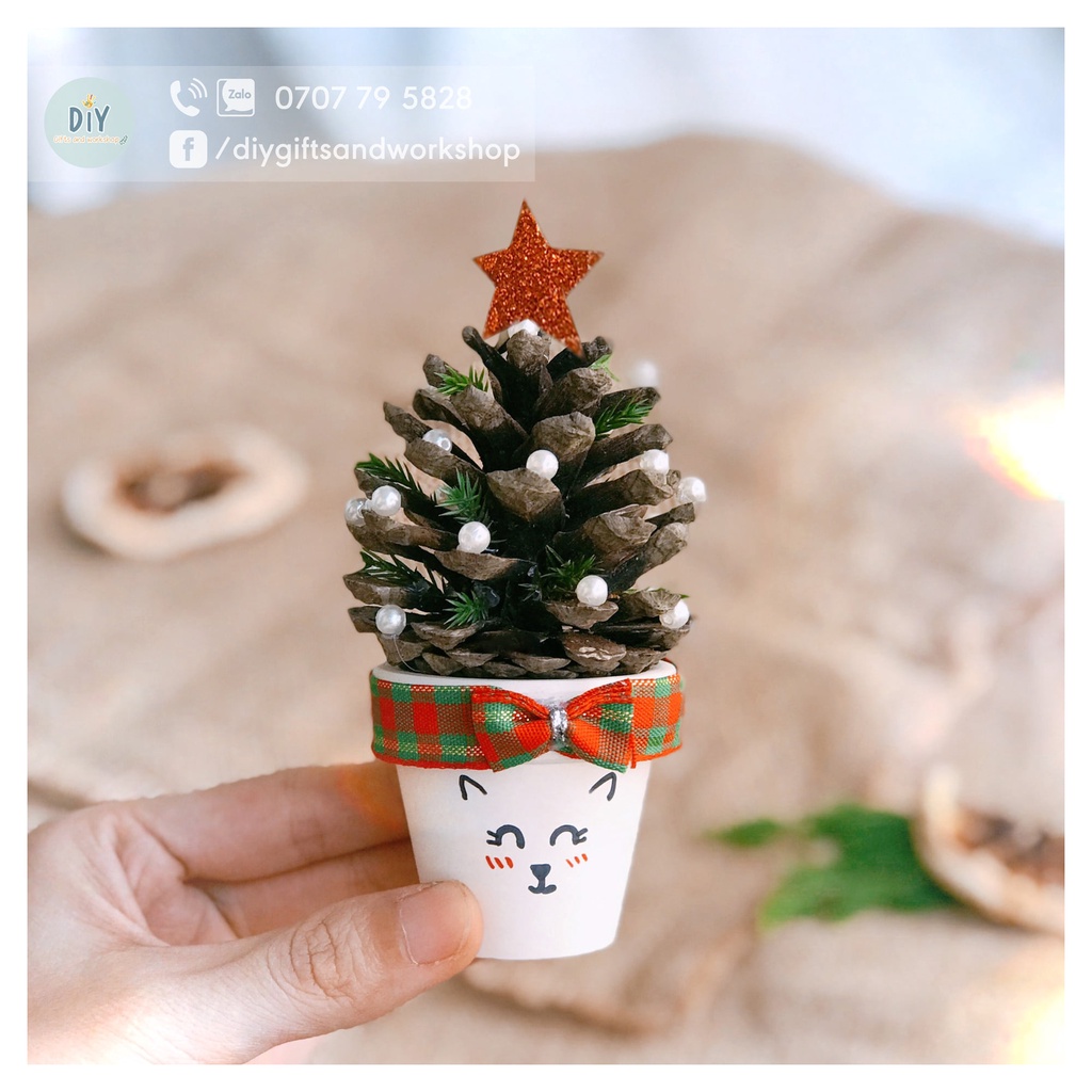 Cây thông Noel mini từ trái thông thật