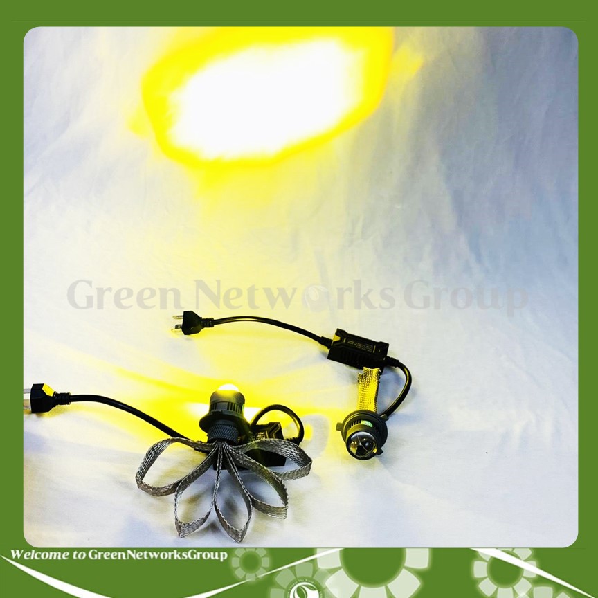 Bộ đèn râu mini bi cầu H4 Ruby Ánh sáng vàng trắng Greennetworks ( 1 Đèn )