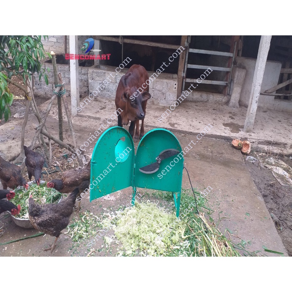 Máy xay cây chuối xay cỏ voi cho trâu,bò,dê,gà