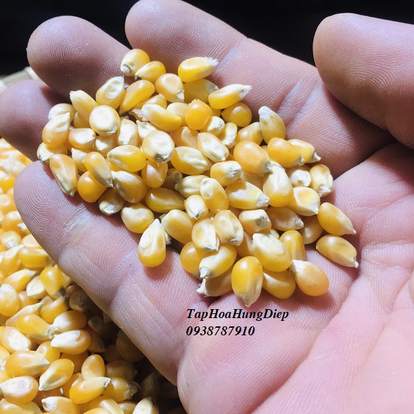 Bắp Rang Bơ-Bắp Mỹ-500g | BigBuy360 - bigbuy360.vn