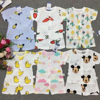 Cotton giấy com bo 4 bộ