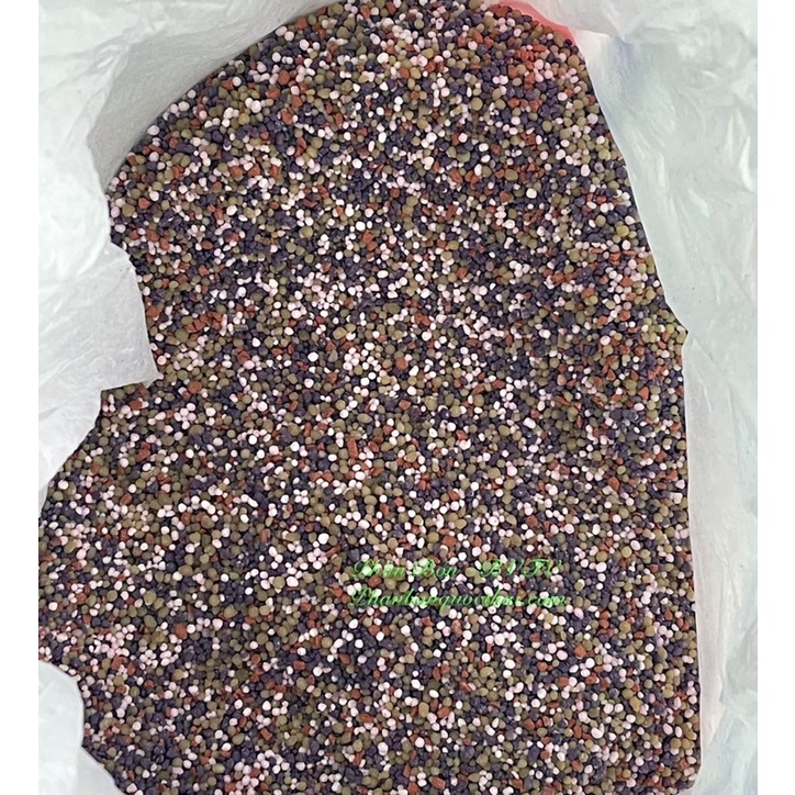 Phân NPK Đầu Trâu 16 16 8 +TE Thế Hệ Mới,Bao 1kg Xúc Từ Bao Lớn 50kg