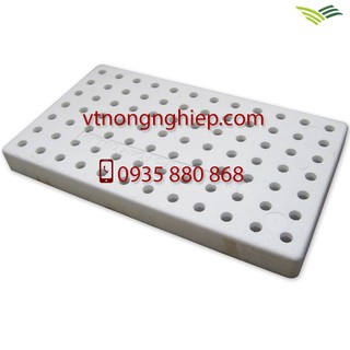 5 Khay xốp ươm hạt 84 lỗ