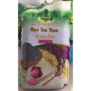 Gạo Tím Than Hoàng Kim