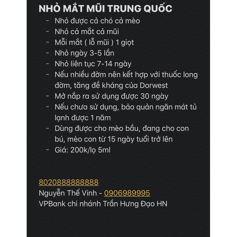 Nhỏ mắt, mũi thần thánh