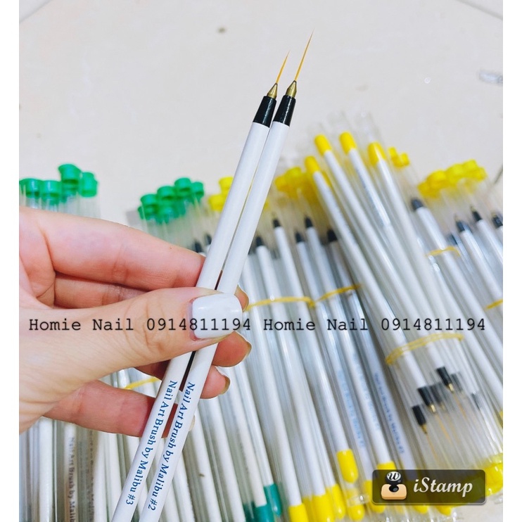 Cọ nét Mỹ loại đẹp
