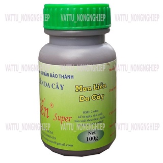 Keo liền da cây mỹ tiến 100g - loại super