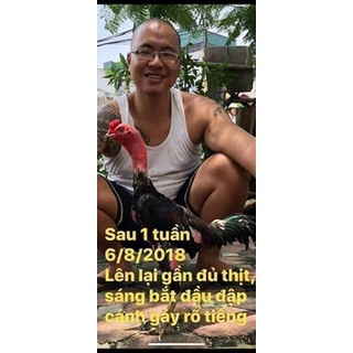 Bộ Khô chân teo lườn Nam Cận