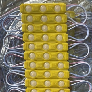 Dây 100 Led Module 3 Bóng SHX 12V 1.5W