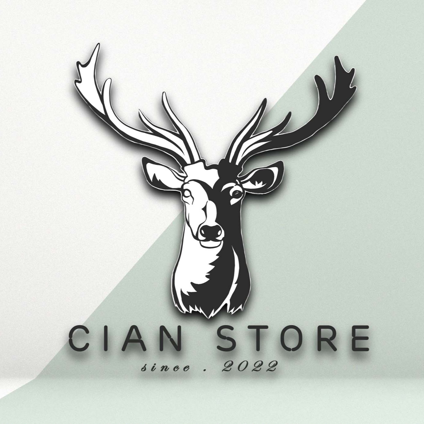 CIAN Store99