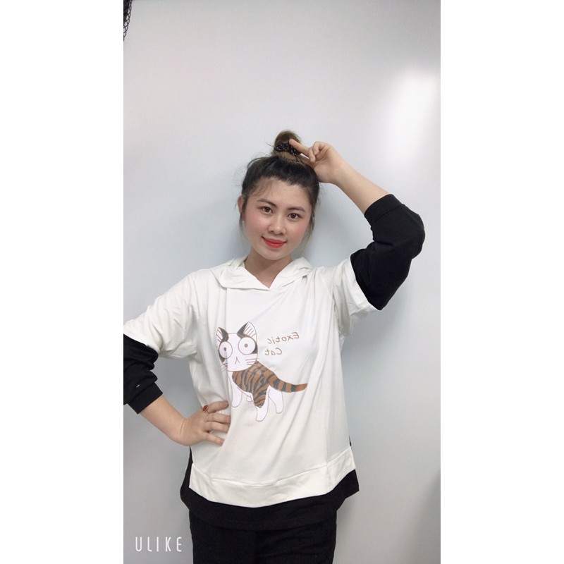 Áo hoodie Unisex họa tiết mèo đáng yêu năng động.  M3 | BigBuy360 - bigbuy360.vn