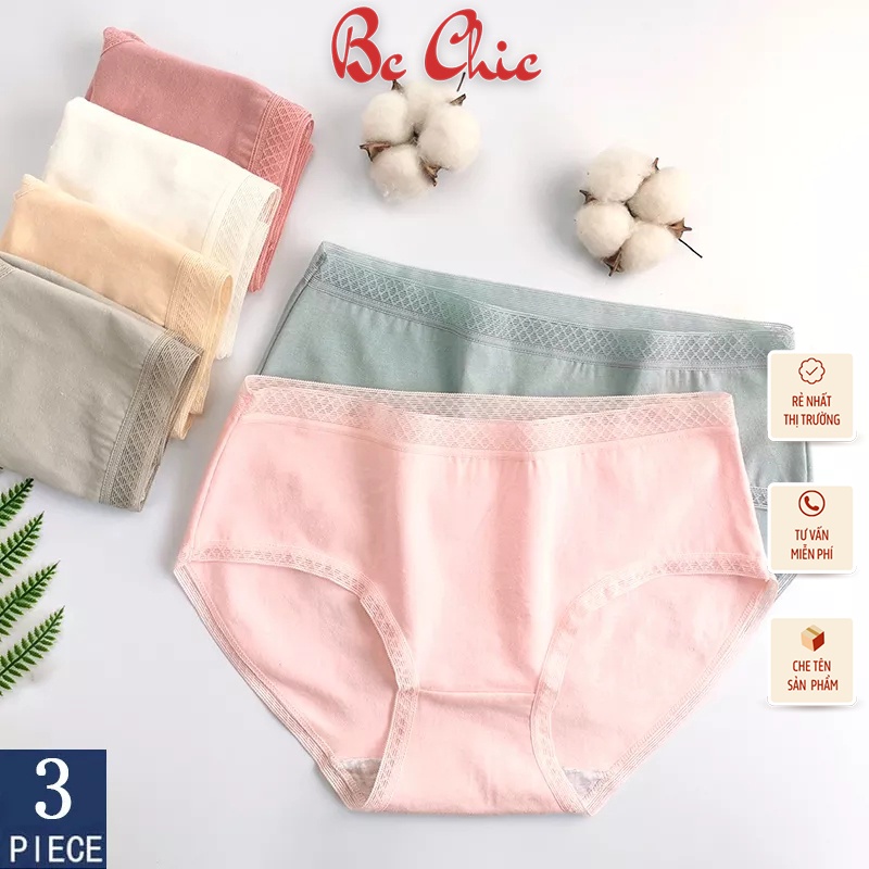 HỘP 10 QUẦN COTTON XUẤT NHẬT CẠP VIỀN LƯỚI CAO CẤP Q111 BC_CHIC LINGERIE