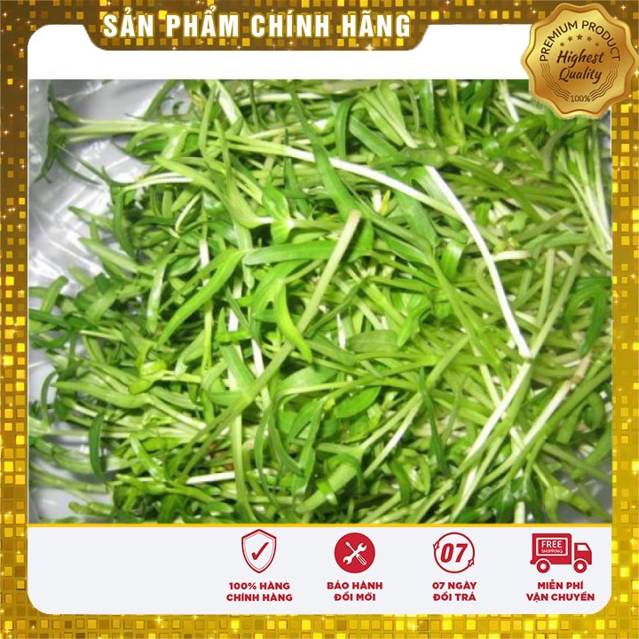 Hạt Giống Mầm Rau Muống ( 50 gram )