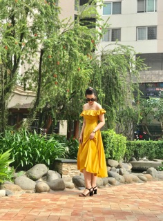 Đầm thiết kế