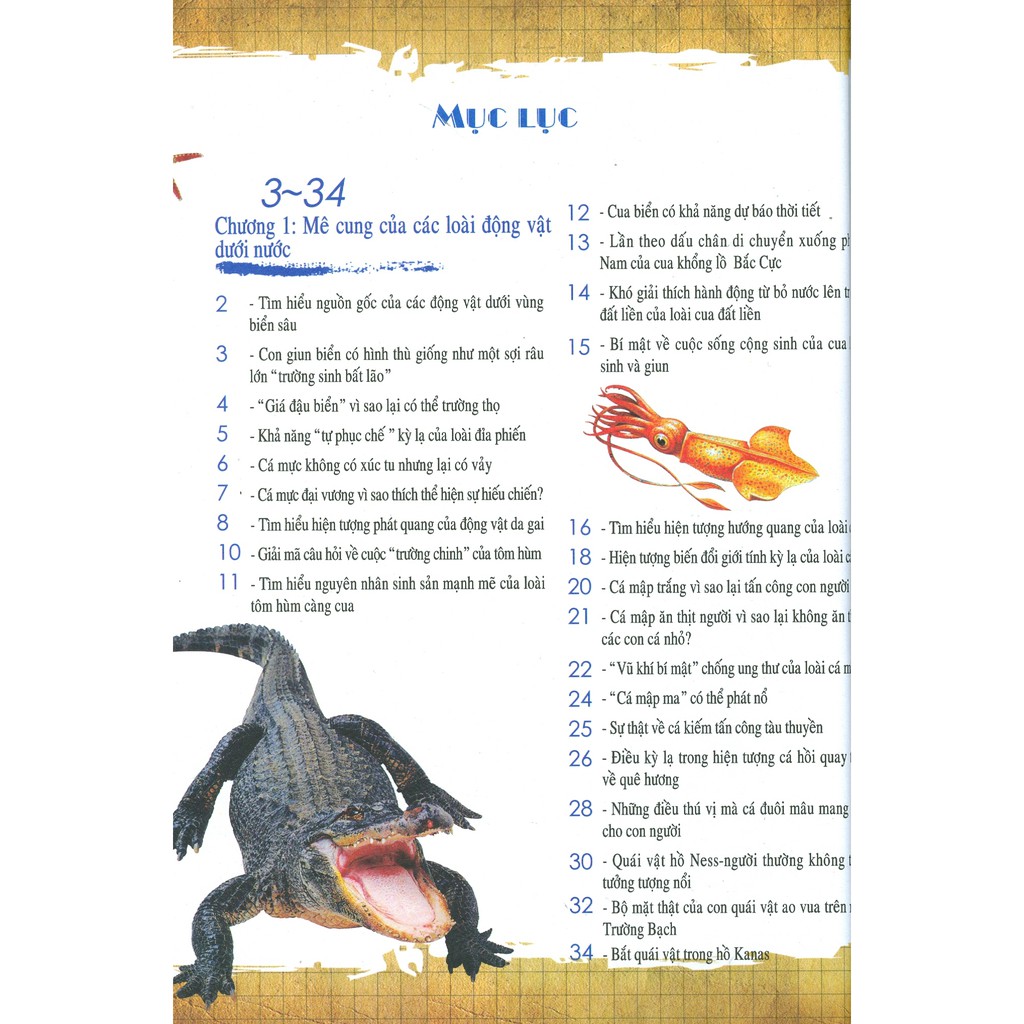 Sách - Khám Phá Những Bí Ẩn Về Động Vật