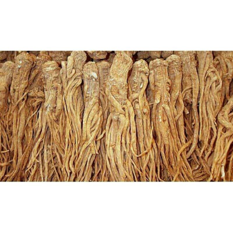 Sỉ lẻ sâm quy 500g - 1kg