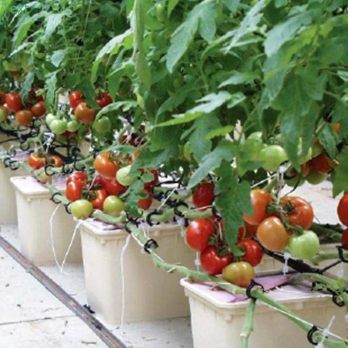 Đá Perlite (đá trân châu) Namix 5dm trồng hoa, rau, thủy canh