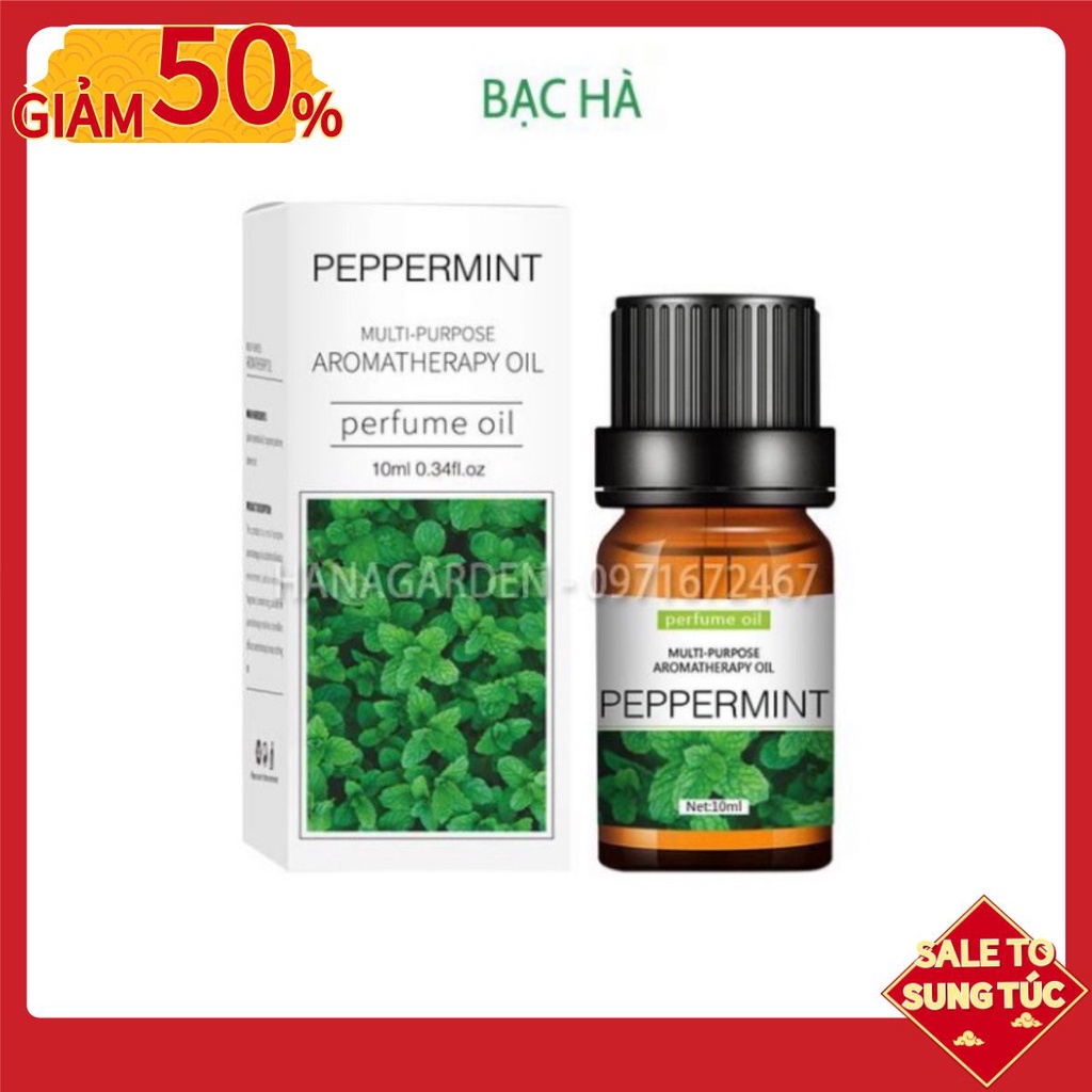 Tinh Dầu Bạc Hà (Freesia) The Mát Tươi Mới  MUA 5 TẶNG 1 Thiên Nhiên Thư Giãn. Dung tích: 10ml